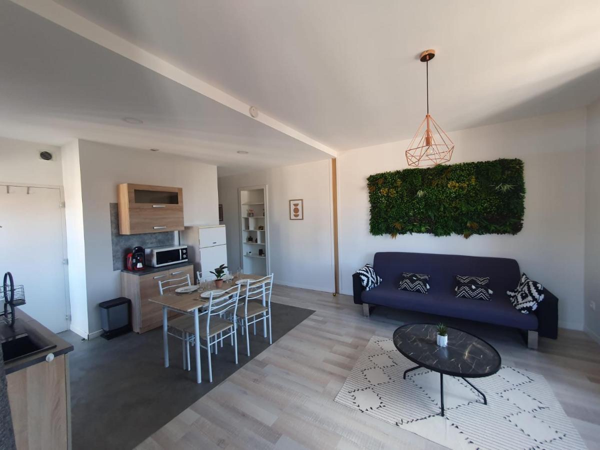 Macon • T2 St Vincent • Hostisy Apartment Bagian luar foto
